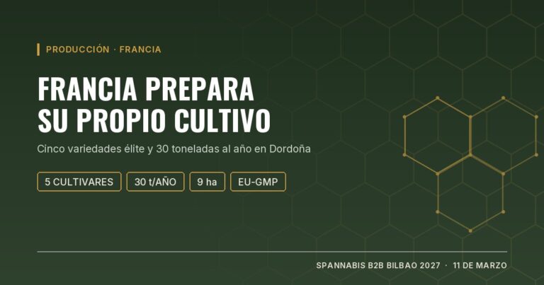 Portada: Francia prepara su propio cultivo de cannabis medicinal, cinco variedades élite y 30 toneladas al año en Dordoña