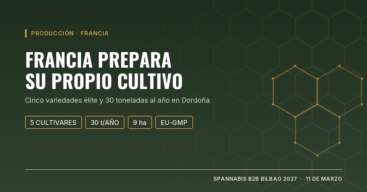 Portada: Francia prepara su propio cultivo de cannabis medicinal, cinco variedades élite y 30 toneladas al año en Dordoña