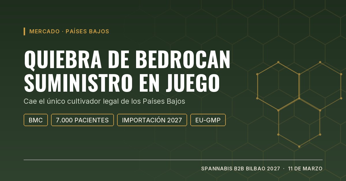 Portada: quiebra de Bedrocan y suministro de cannabis medicinal en Países Bajos
