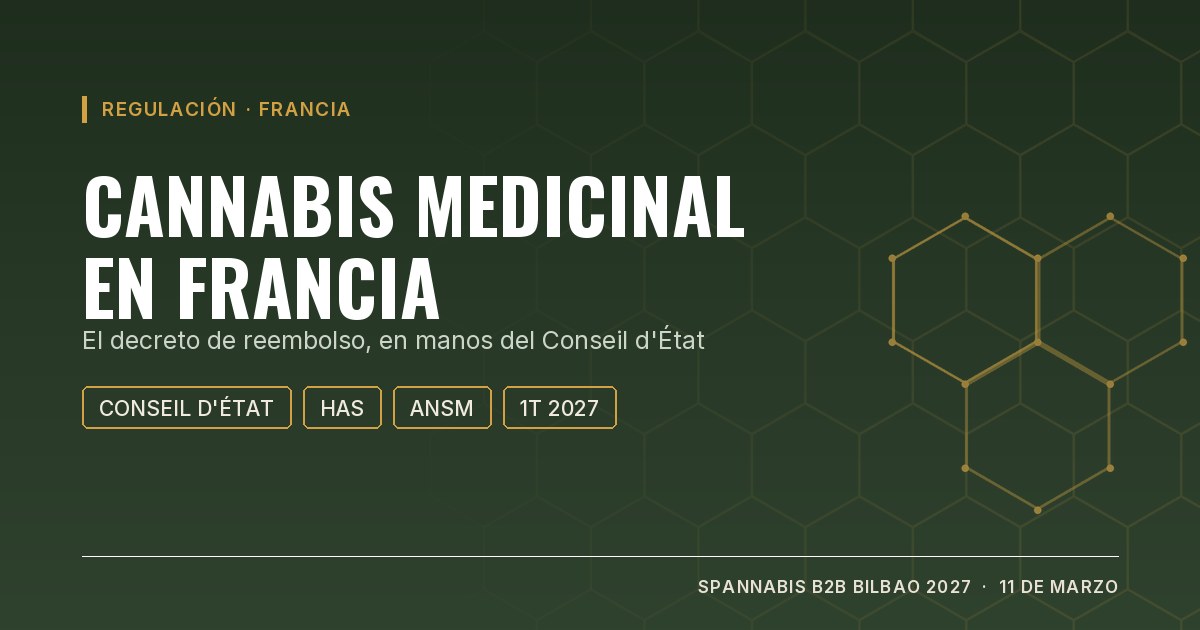 Portada: cannabis medicinal en Francia, el decreto de reembolso en manos del Conseil d'État