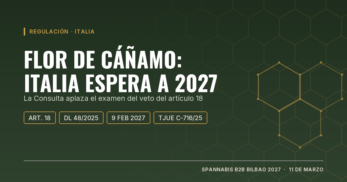 Portada: flor de cáñamo en Italia, la Corte Constitucional aplaza a febrero de 2027 el examen del artículo 18