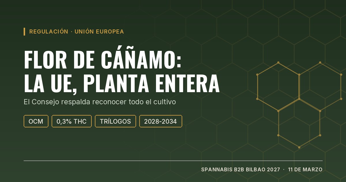 Portada: flor de cáñamo, la UE respalda reconocer la planta entera con un 0,3% de THC