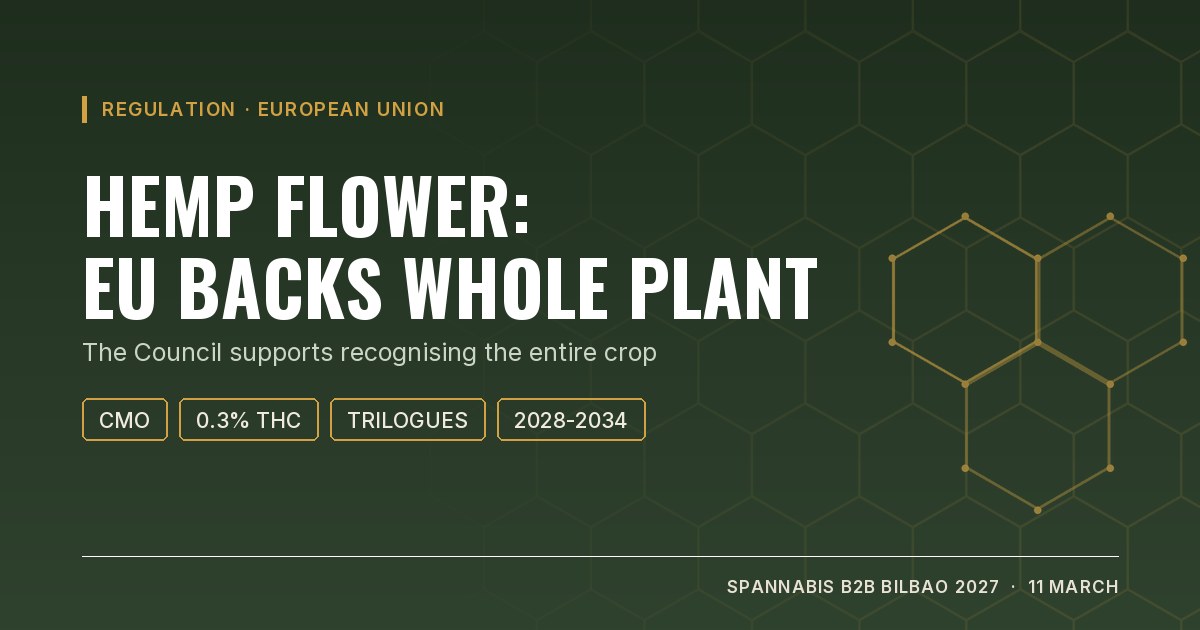 Cover: hemp flower, the EU backs recognising the whole plant with a 0.3% THC cap