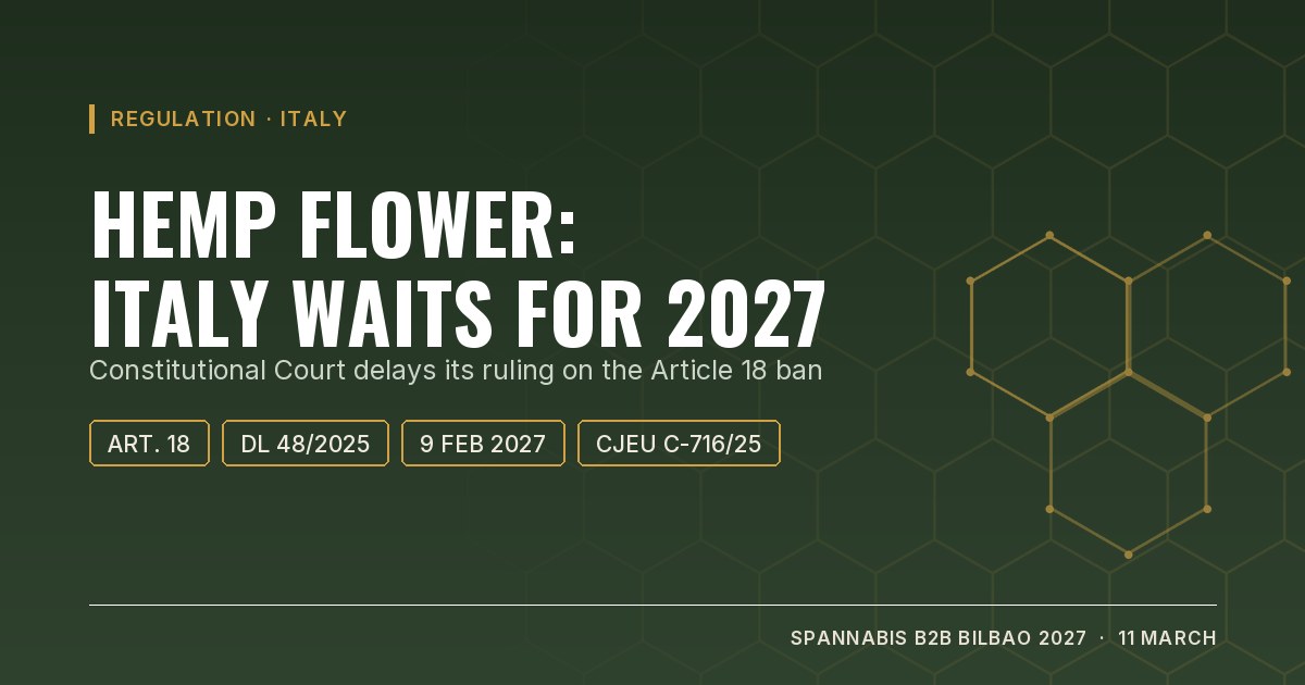 Cover: hemp flower in Italy, the Constitutional Court delays its review of Article 18 to February 2027