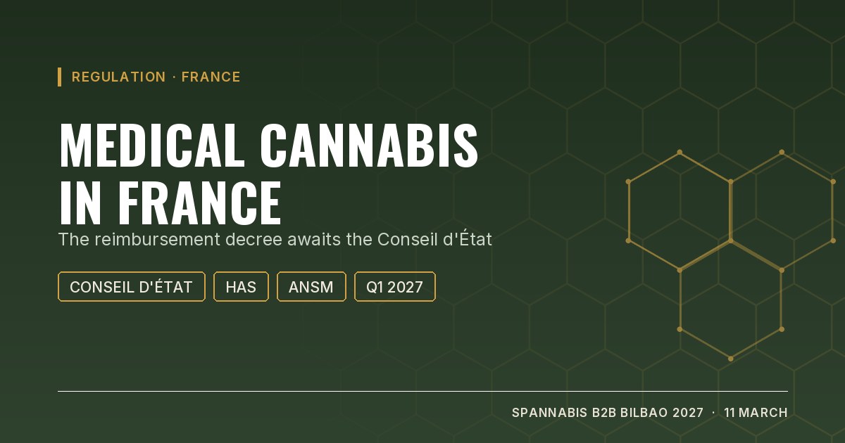 Cover: medical cannabis in France, the reimbursement decree awaits the Conseil d'État